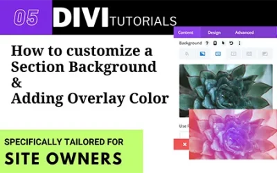 How to customize a section background in Divi and add overlay colour