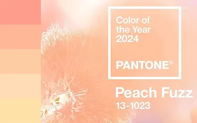 Color Of The Year 2024 : Peach Fuzz