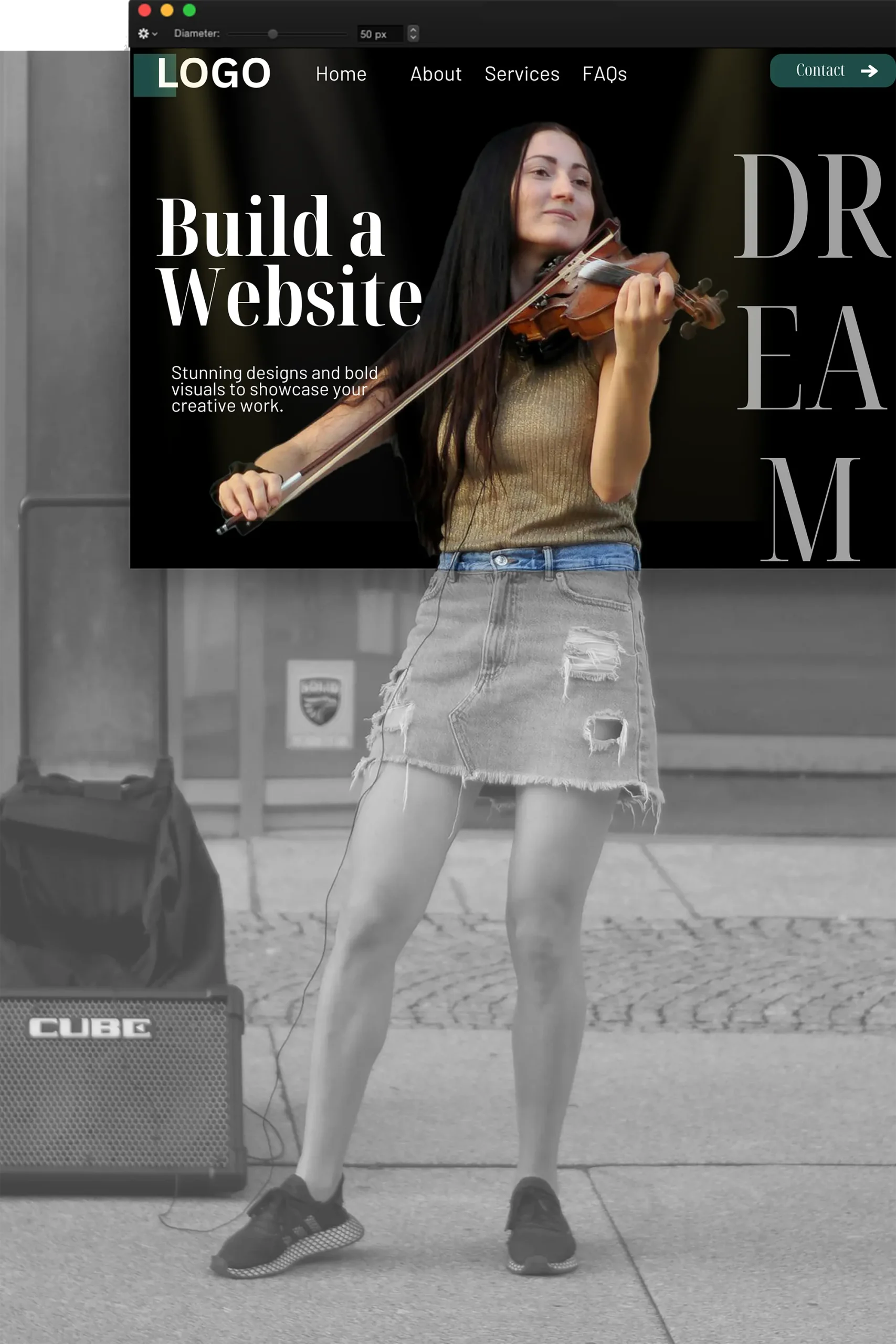 WordPress developer
